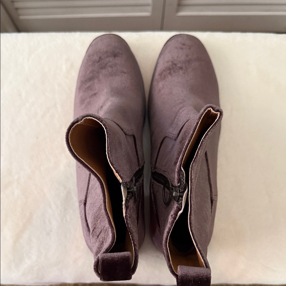 Latigo Velvet Ankle Boots - Picture 7 of 8